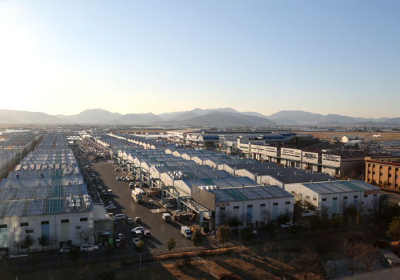 西釜山流通地区