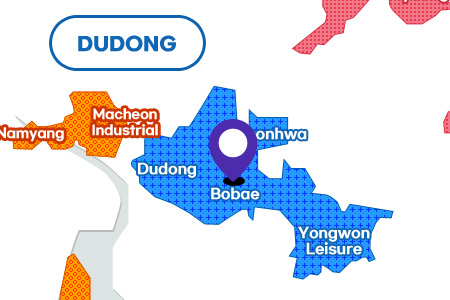 Bobae District