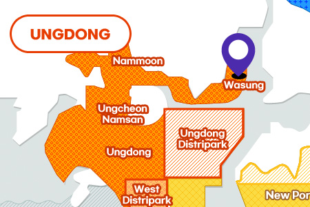 Wasung District