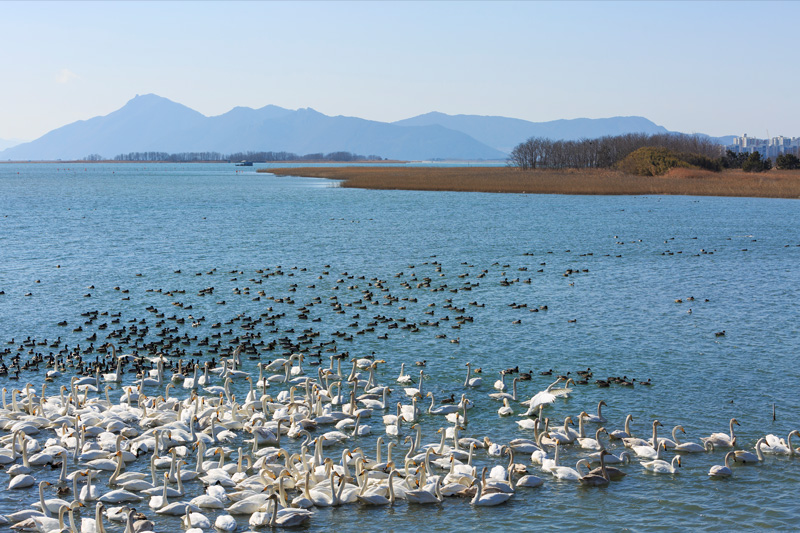 Eulsuk Island Ecological Park