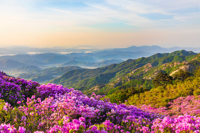 Hwangmaesan Mountain