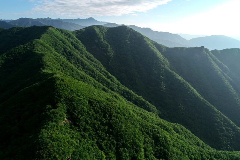 智异山