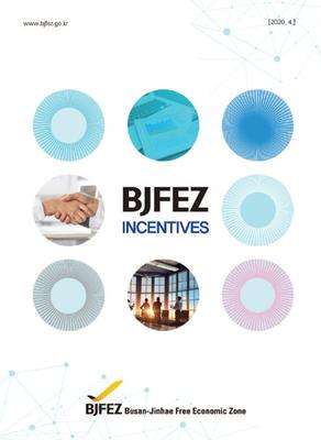 BJFEZ Incentives
