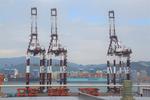 Grand Opening Day for Busan Container Terminal at Pier 6 of Busan New Port 